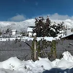 Lupinos Del Sur
