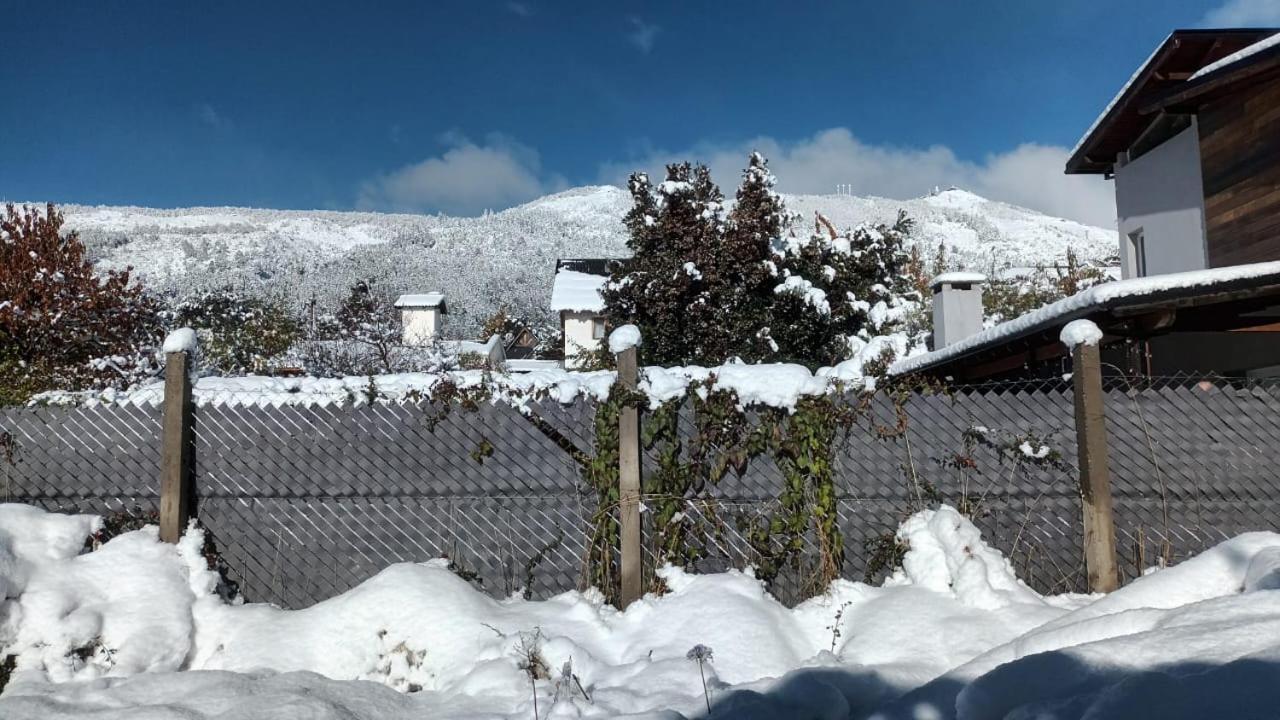 Lupinos Del Sur
